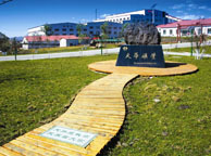 合肥天华矿业集团